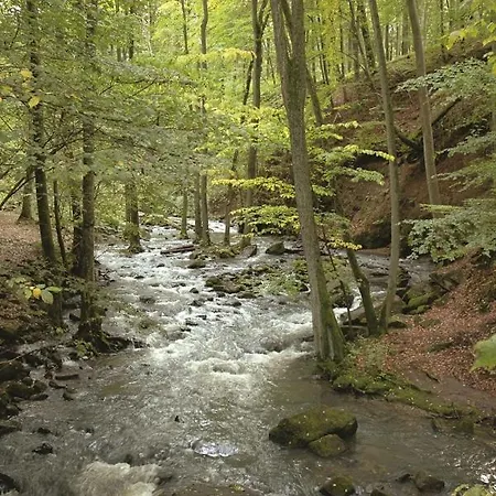 Hof Elbbachtal Westerburg (Rhineland-Palatinate)