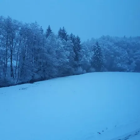 아파트 Hof Elbbachtal