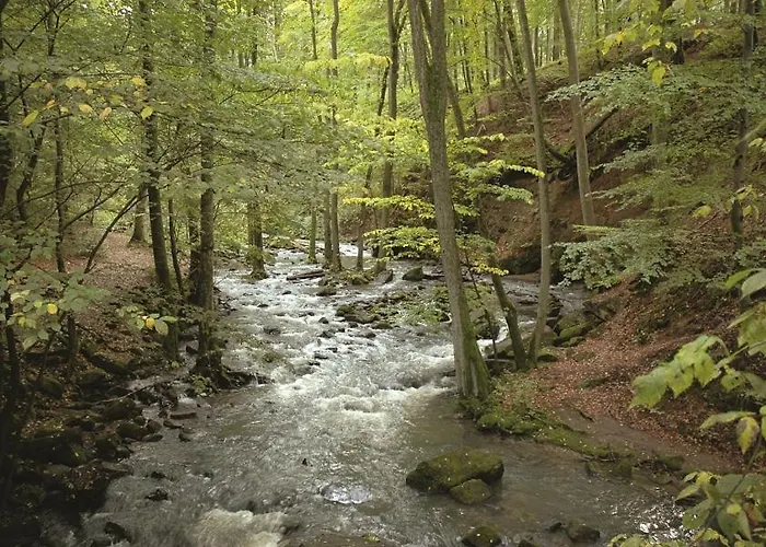 Hof Elbbachtal Westerburg (Rhineland-Palatinate)