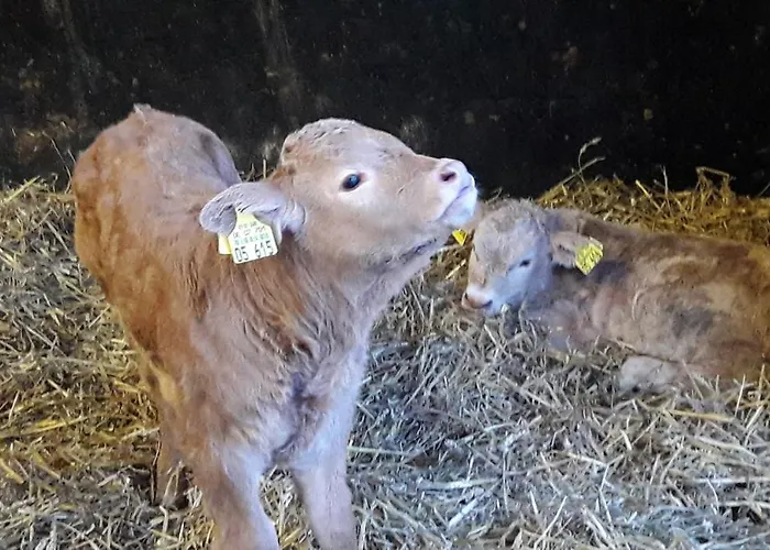 Hof Elbbachtal * Вестербург