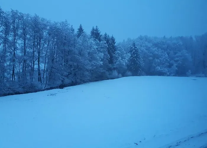 Апартаменты Hof Elbbachtal